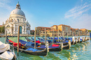 Santa Maria della Salute and Gondolas in Venice