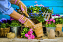 Gardening