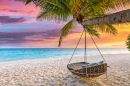 Beautiful Sunset on a Tropical Beach