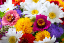 Close-Up of Summer Flowers