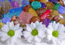 Daisies and Healing Crystals