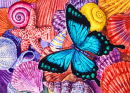 Butterfly on Seashells