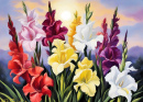 Gladiolus Flowers against a Soft Sunset Sky