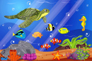 Underwater Life