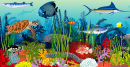 Underwater Coral Reef