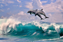 Two Dolphins Jumping over Ocean Waves