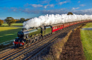 Vintage Steam Train Ride