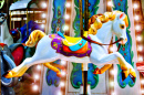 Horse of a Merry-Go-Round