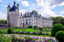 Château de Chenonceau in the Loire Valley, France
