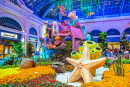 Bellagio Hotel Conservatory & Botanical Gardens