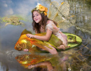 Releasing Goldfish into the Wild