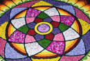 Sacred Geometry of the Flower Carpet, India