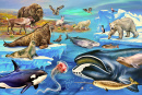 Fauna of the Tundra and the Arctic Ocean