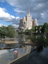 Flamingos in Moscow Zoo