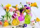 Beautiful Fresh Flowers in Glass Bottles