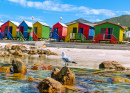 Colourful Beach Houses in Muizenberg, Cape Town
