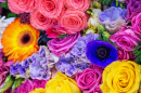 Colorful Floral Background