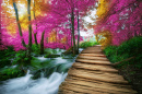 Waterfall Landscape in Plitvice Lakes NP, Croatia