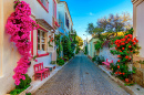 Street View of the Turkish Island of Bozcaada