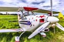 Aerobatic Sporting Biplane Aviat Eagle