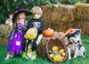 Halloween Garden Party