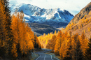 View of the Autumn Taiga, Altai Republic, Russia