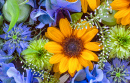 Flowers and Fruits Floating on Water