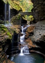 Watkins Glen, NY