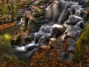 Virginia Water, Windsor Great Park