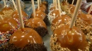 Caramel Apples