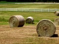 Indiana Farm