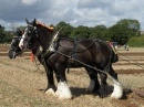 Plough Team