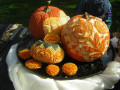 Carved Pumpkins