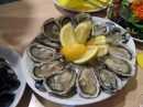 Oysters